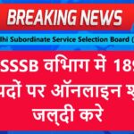 dsssb nursing officer